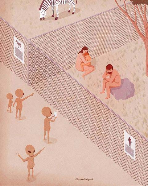 The Zoo