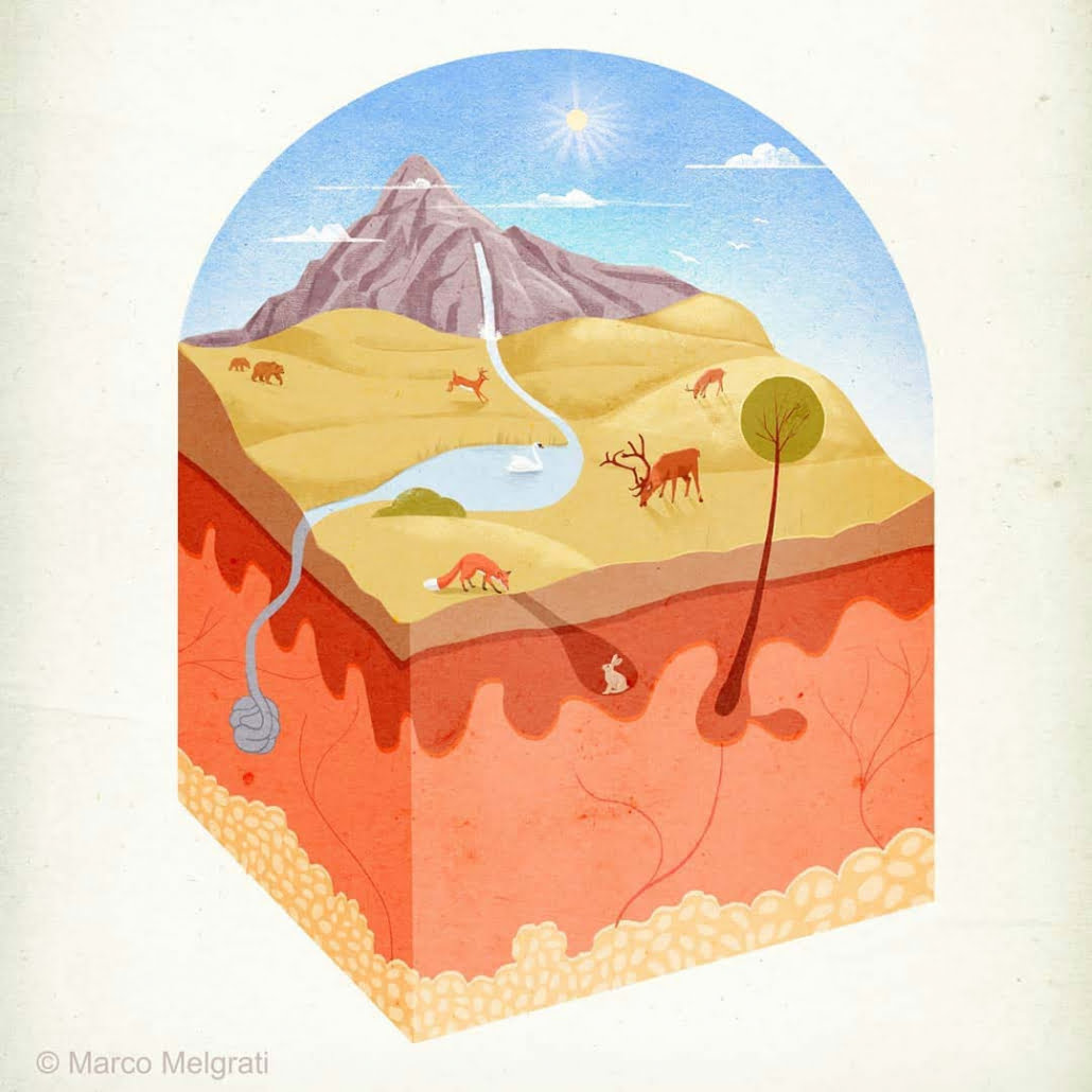 The Skin Environtment